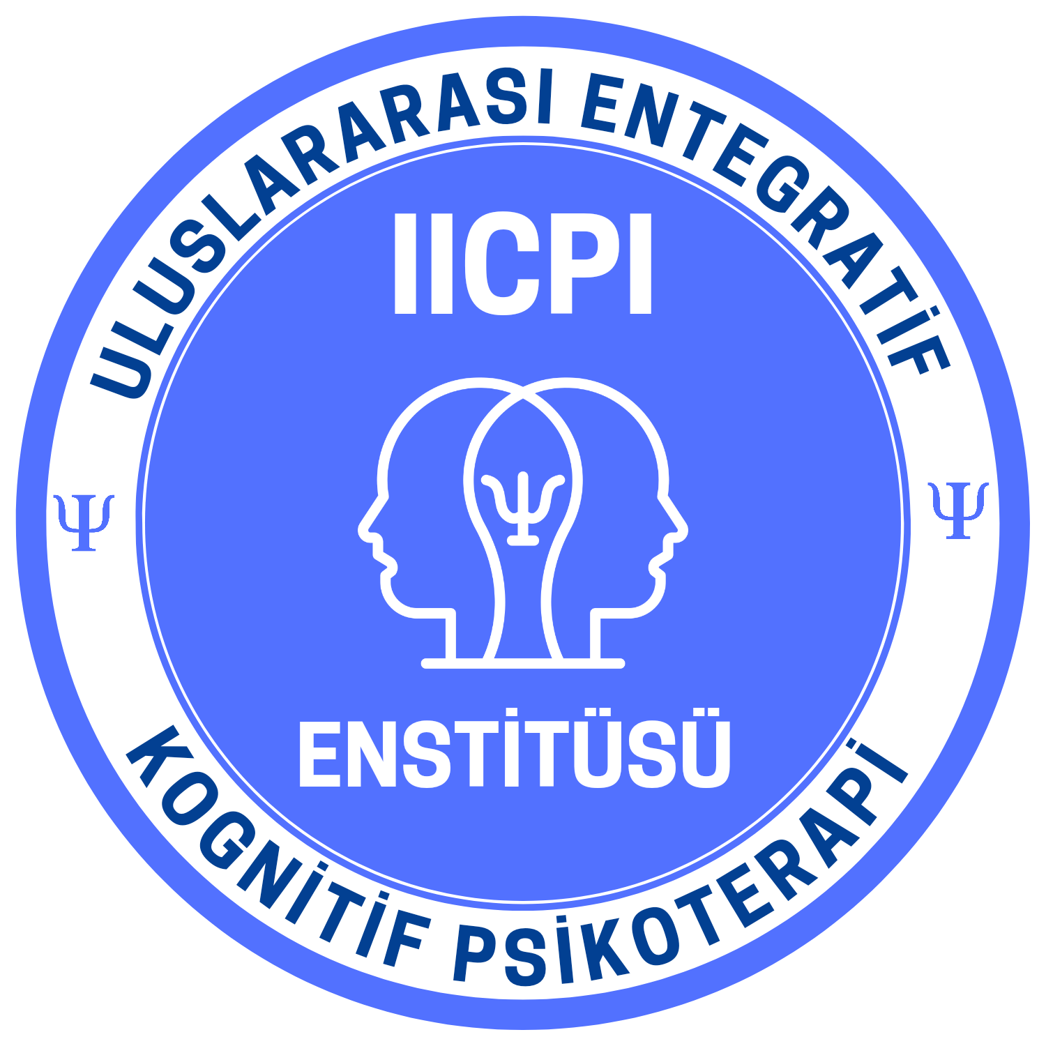 IICPI