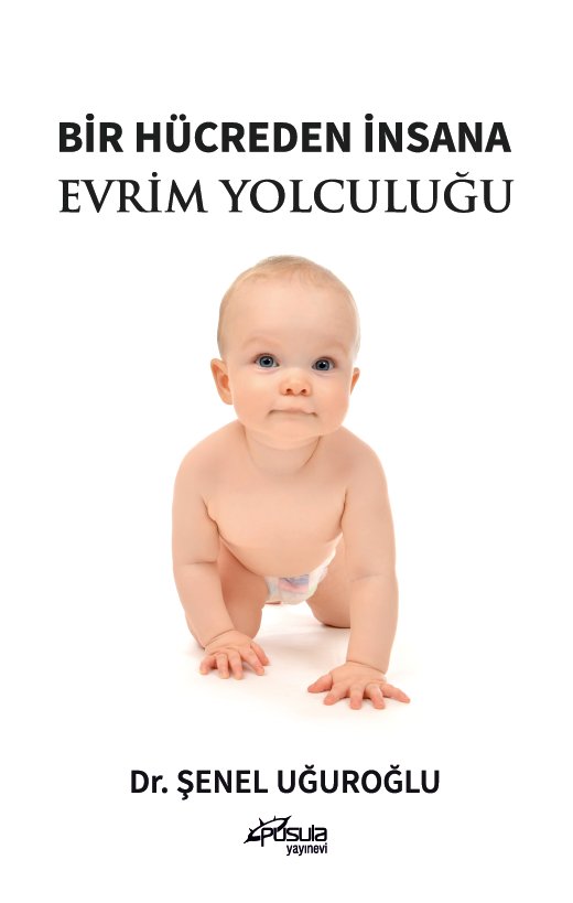 Bir Hücreden İnsana Evrim Yolculuğu